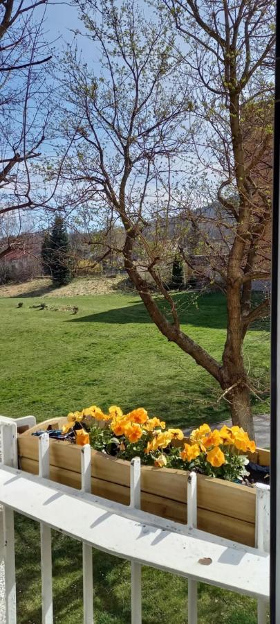 Na Lesnej Lägenhet Kowary Exteriör bild