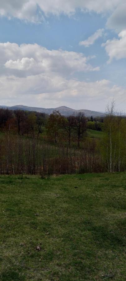 Na Lesnej Lägenhet Kowary Exteriör bild